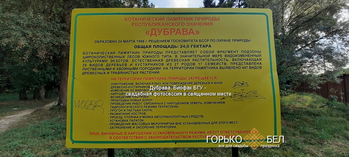Дубрава, Биофак БГУ - свадебная фотосессия в священном месте