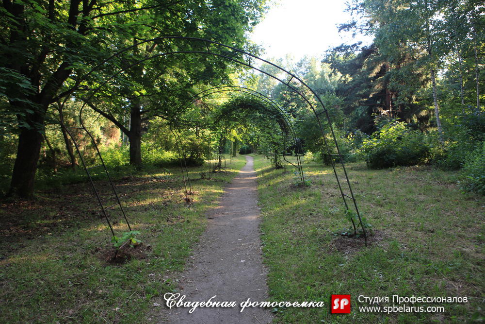 Свадебная прогулка в Ботаническом саде Минска