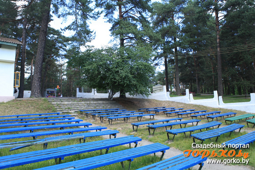 Свадебная фотосъемка в парке 50 летия великого октября в Минске